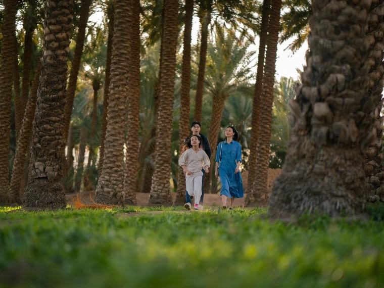 عائلة في رحلة بين النخيل